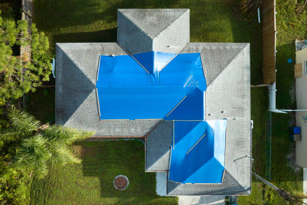 Best Roof Installation  in Coker, AL
