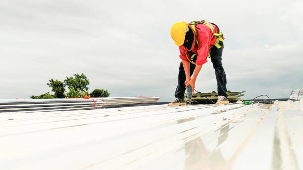 Best Roof Insulation Installation  in Coker, AL