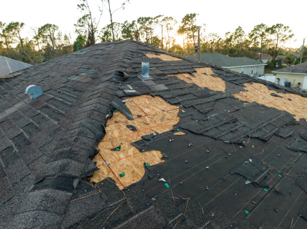 Best Wood Shake Roofing  in Coker, AL