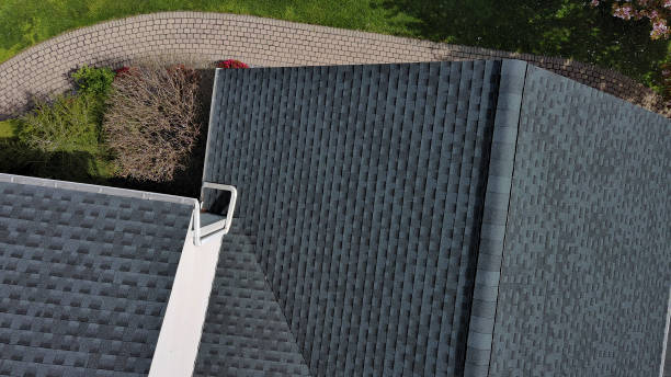 Best Roof Ventilation Installation  in Coker, AL