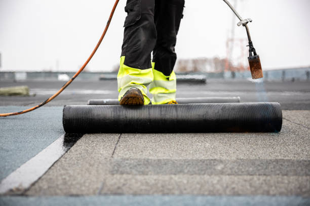 Best Steel Roofing  in Coker, AL
