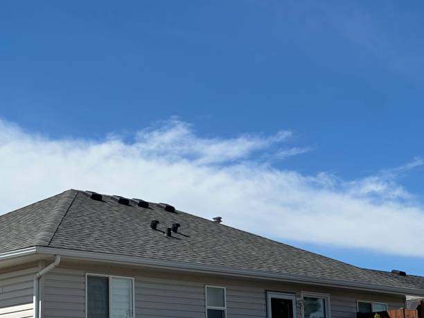 Best Asphalt Shingle Roofing  in Coker, AL